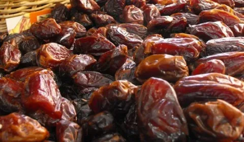 خرید و قیمت خرما کبکاب بهبهان + فروش عمده